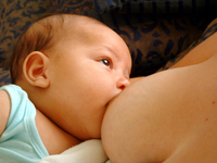 what-percentage-of-women-breastfeed