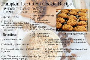 pumpkin-lactation-cookie-recipe