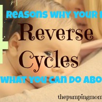 reverse-cycling-and-breastfeeding