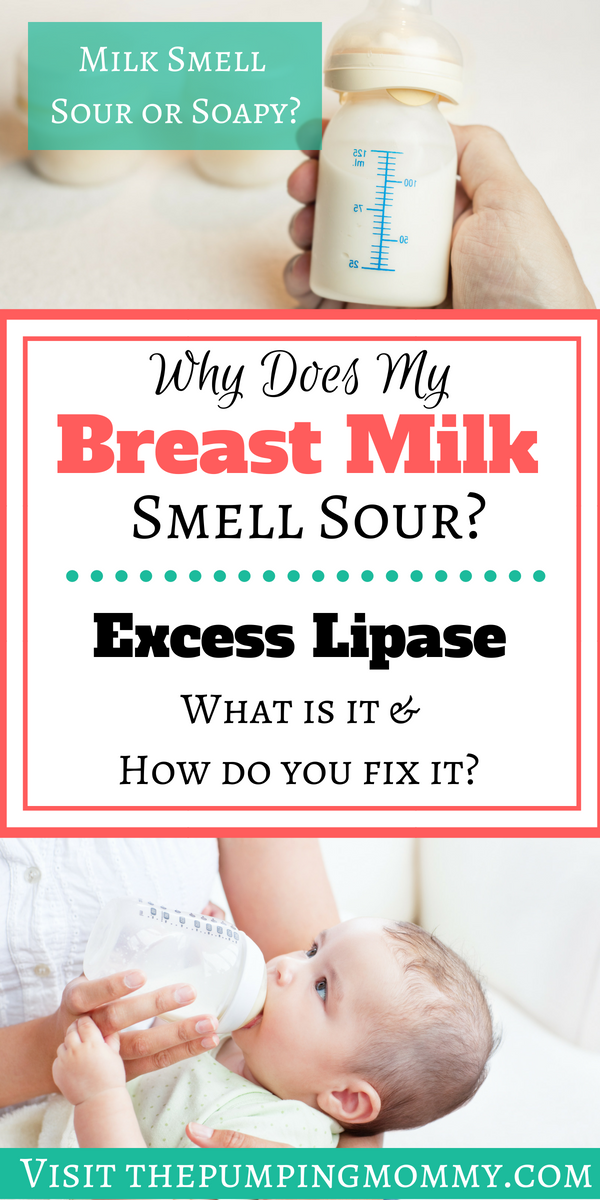 Excess Lipase and Scalding Breast Milk - Excess Lipase and Scalding Breast Milk - If you are struggling with breast milk that smells off or sour despite following proper storage guidelines, then you might be dealing with excess lipase. Find out what excess lipase is and how scalding breastmilk can help rid your milk of the soapy taste and smell. #breastpumping #excesslipase #scaldingbreastmilk #bottlewarmertoscaldbreastmilk #lipase #sourbreastmilksmell